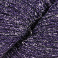 Figment (9813)