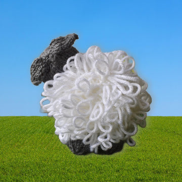 Curly the Sheep