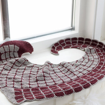 Growth Point Shawl