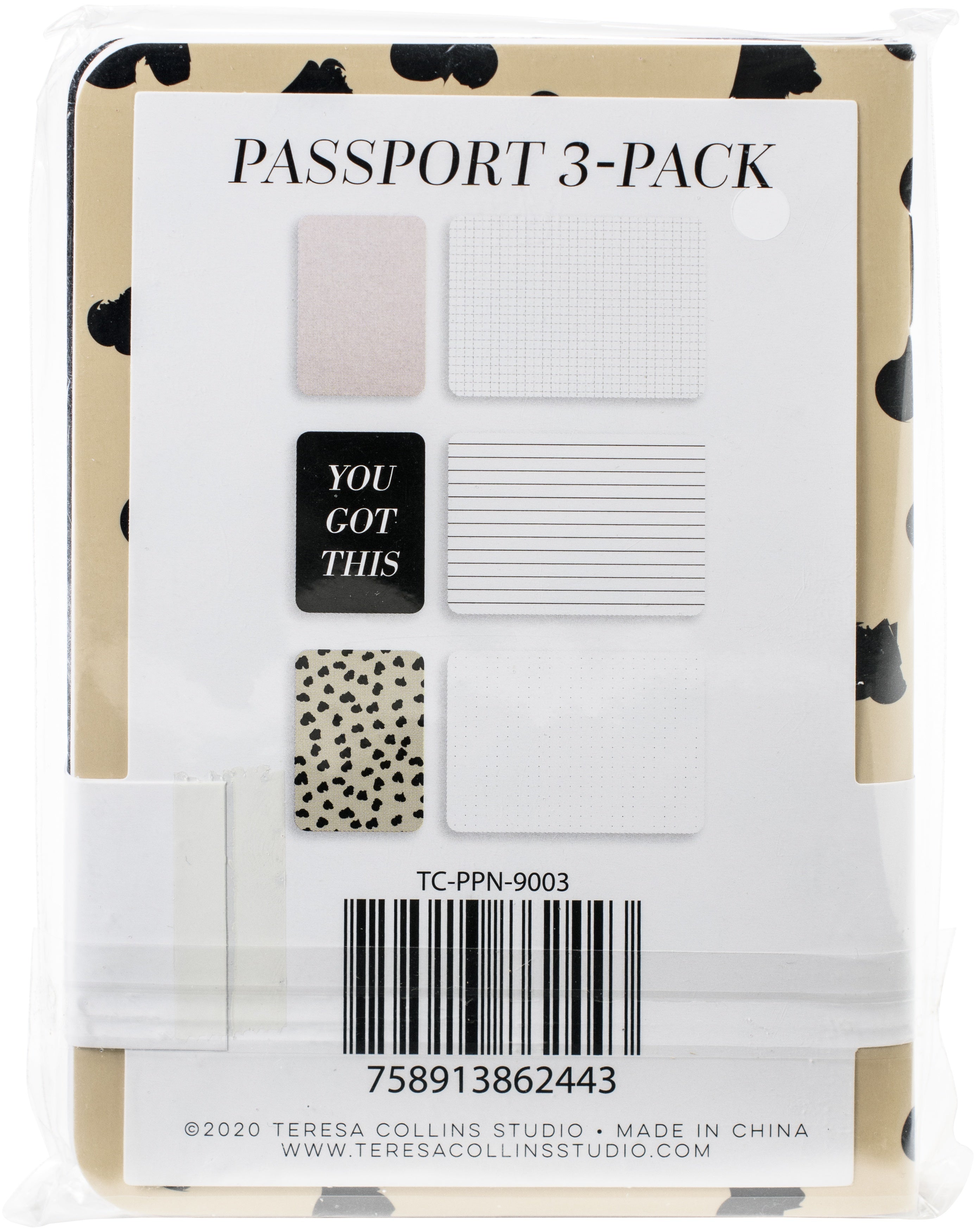Teresa Collins Passport Notebooks Set 3.5"X5" 3/Pkg - You Got This
