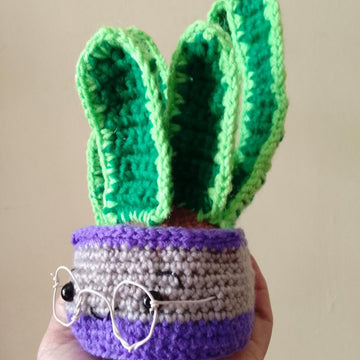 Sansevieria amigurumi