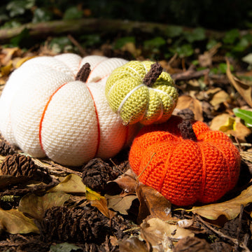 Pumpkin Trio