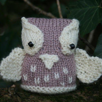 Owls - The Hoot Family