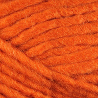 Pumpkin (630)