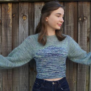Dragonfly Jumper