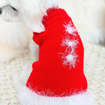 Santa dog coat