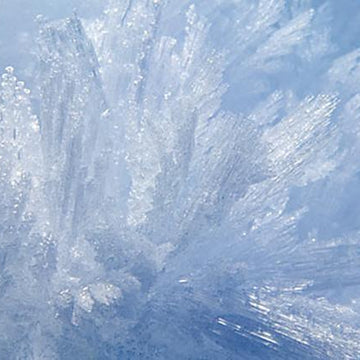Rime and Reason