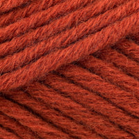 Brick (118)
