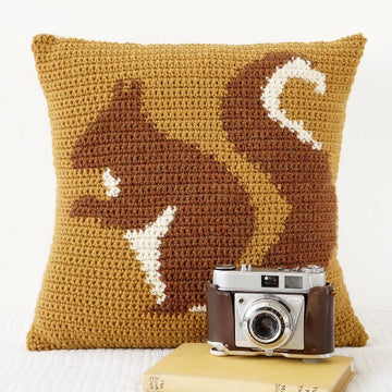 Squirrel Cushion