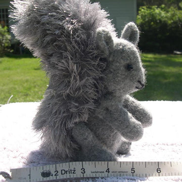 Gray Squirrel