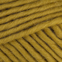 Peat Moss (333)