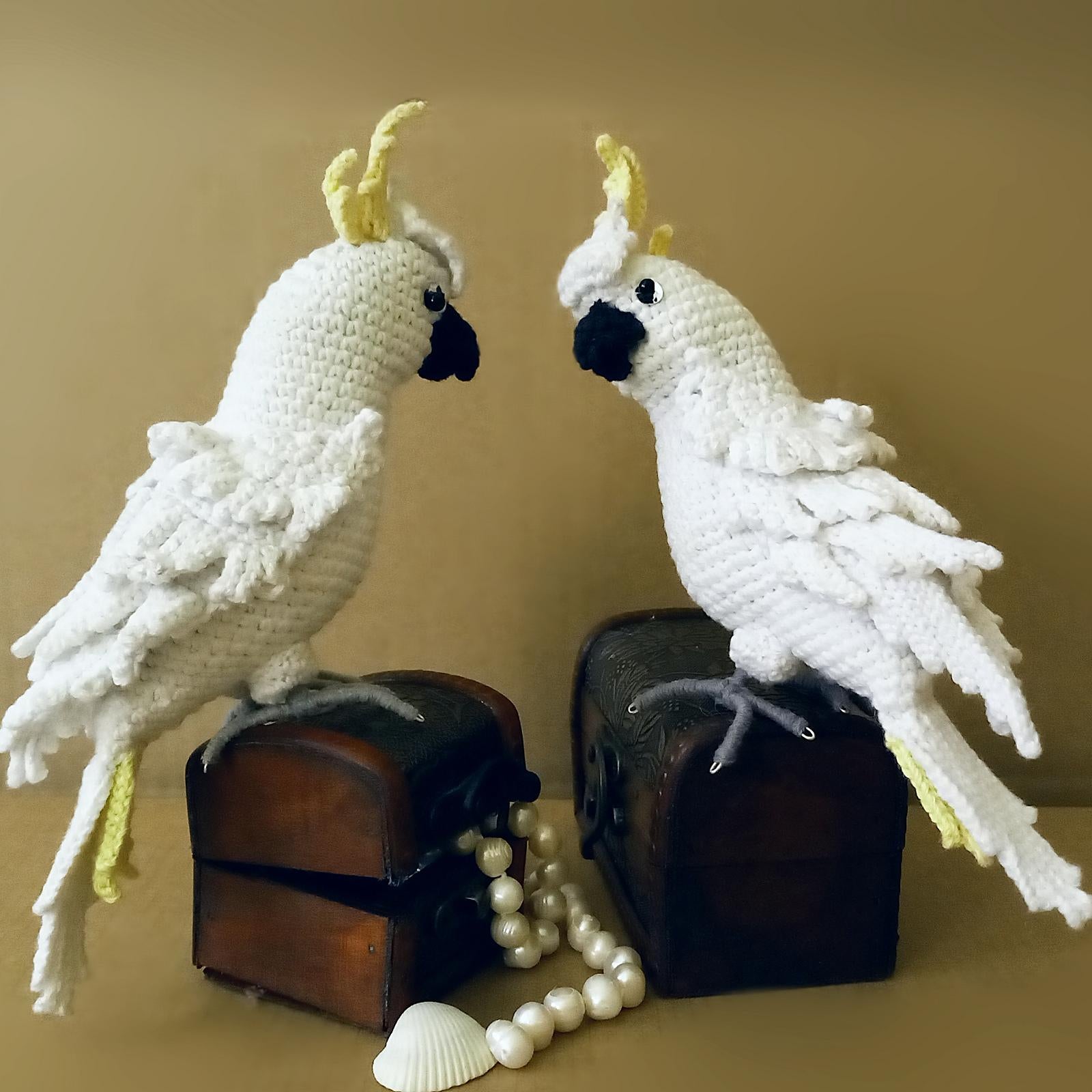 Cockatoo Parrot
