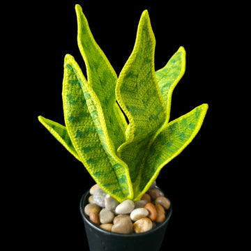 Crochet Snake plant pattern