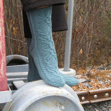Pit Railway Socks