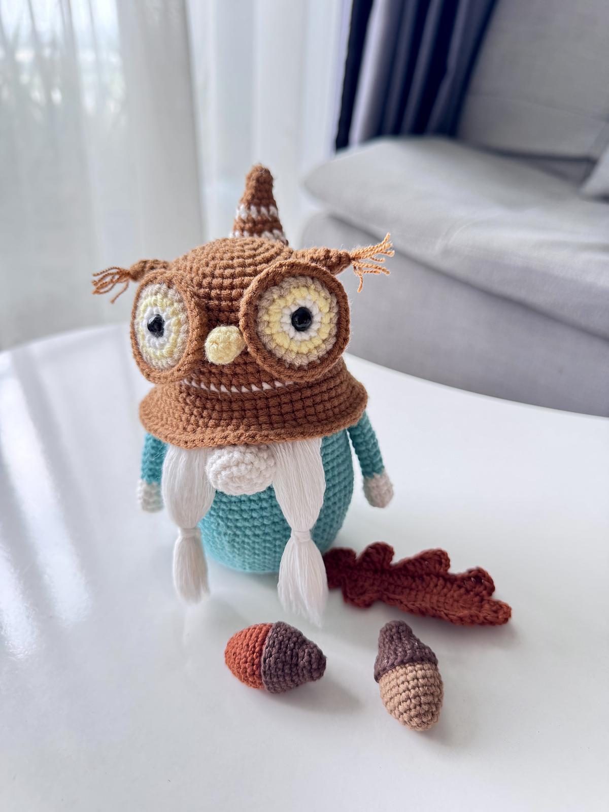 Wise Owl Gnome