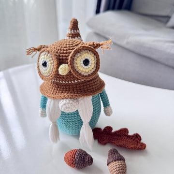 Wise Owl Gnome