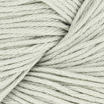 Light Silver (3006)