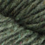 Sage (0885)