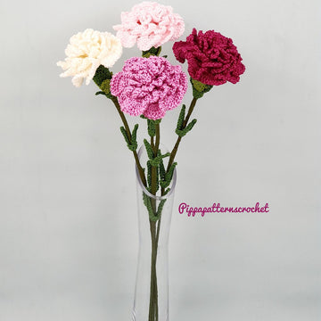 Carnation