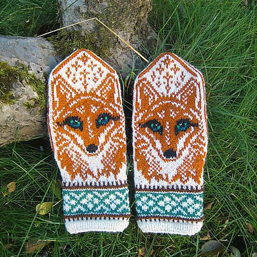 Fox Portrait