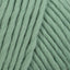 Eucalyptus Green (033)