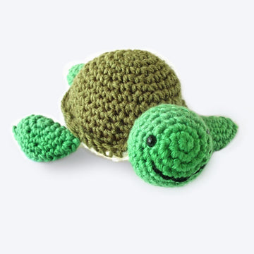 Shelby The Turtle