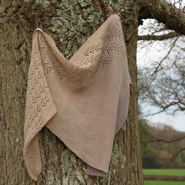 Bare Branches Shawl