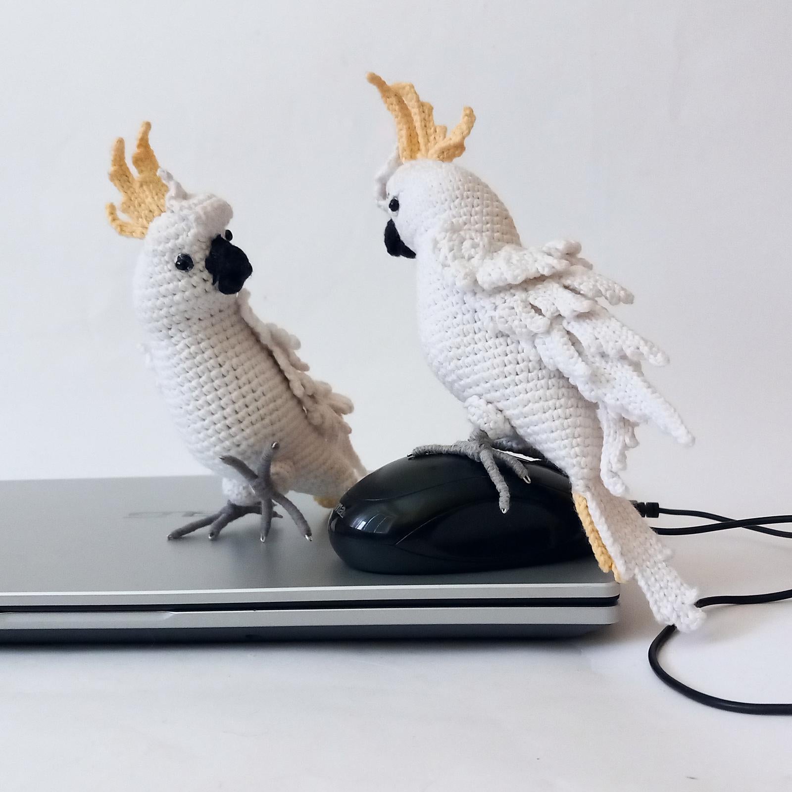 Cockatoo Parrot