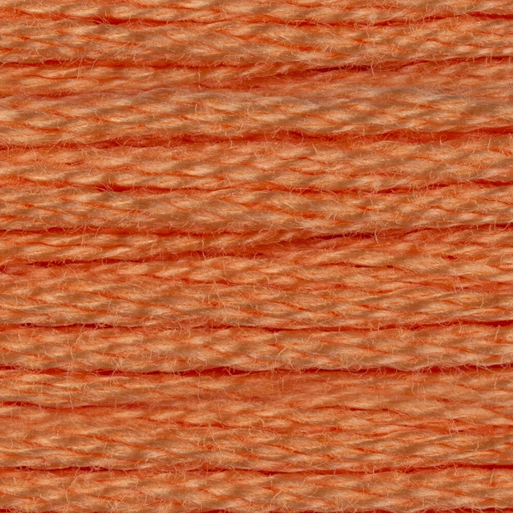 DMC Stranded Cotton - Warm Shades