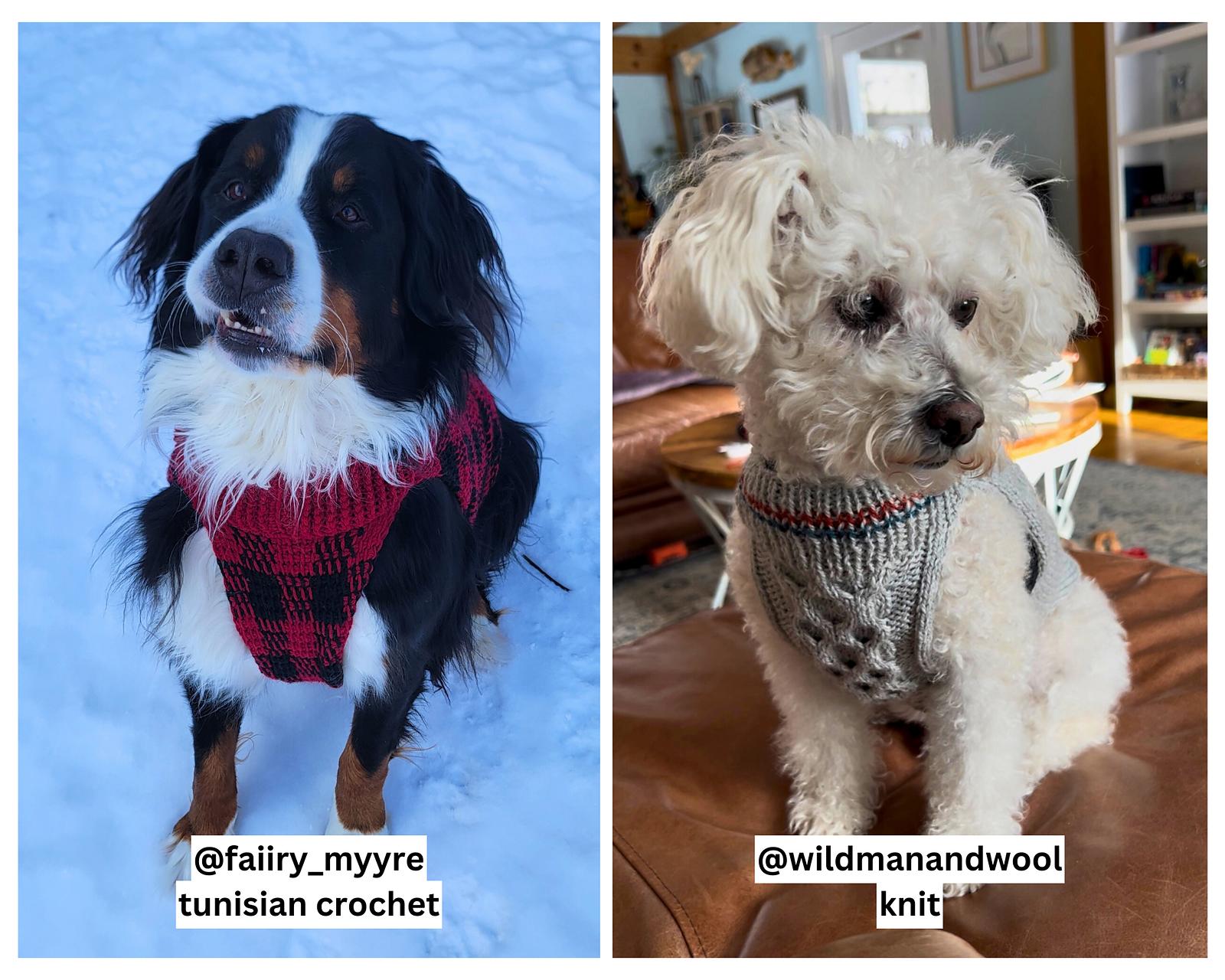 Universal Pet Sweater