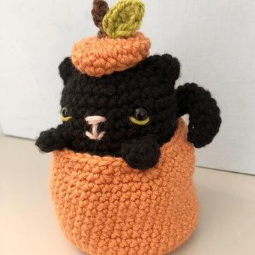 Crochet Cat in a Pumpkin