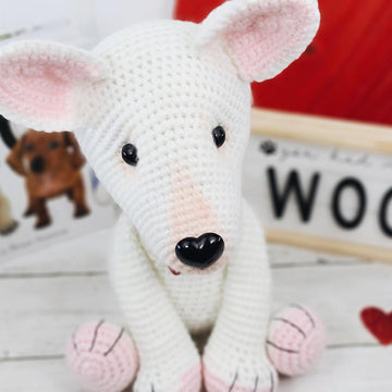 Champ the bull terrier