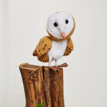 Barn Owl