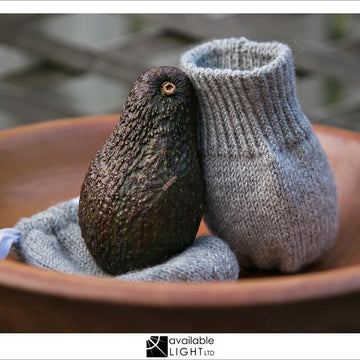 Avo-Can-Do