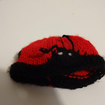 Ladybird Preemie hat