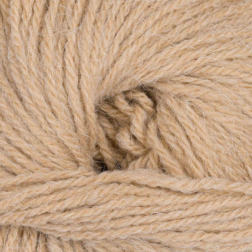 Hare (303)