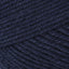 Navy (170)