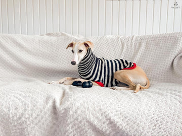 Doggo no 13 sweater
