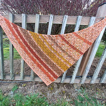 Ned's Dye-Pot Shawl