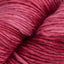 Raspberry (SM401)