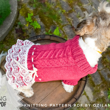 Lace cherry dress for dog