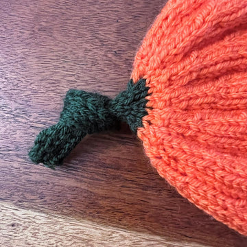 Pumpkin Patch Hat