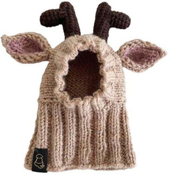 Reindeer Dog Hat
