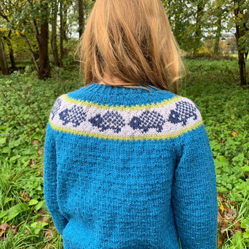 Textured Jumper With Hedgehog Yoke