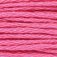 Electric Pink (VA1249)