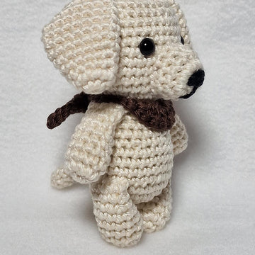 Labrador Retriever Dog