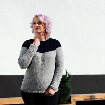 Basic Colorblock Yoke sweater