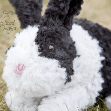 Odie the Bunny