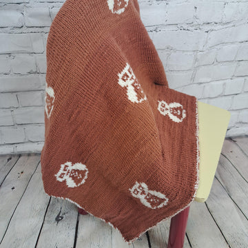 Owl Baby Blanket