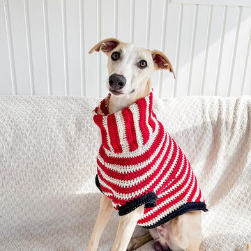 Doggo no 14 sweater